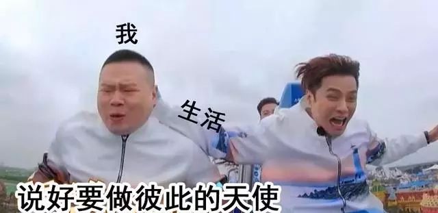 岳云鹏坐过山车吓出表情包,全身紧绷生无可恋太搞笑