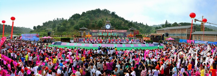2019靖州杨梅节来了!