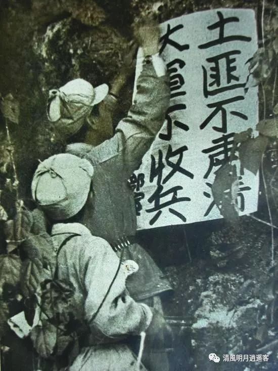 各地土匪活动区域_土匪 强奸女兵_新中国成立初期剿匪情况