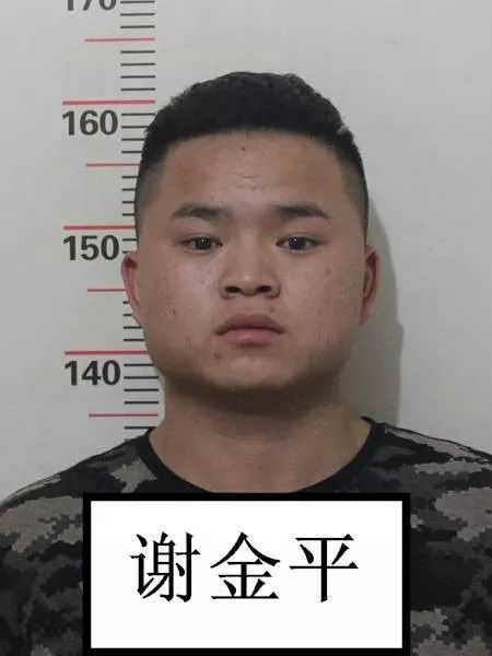 这13人已被捕!昆明警方公开征集犯罪线索,有奖励