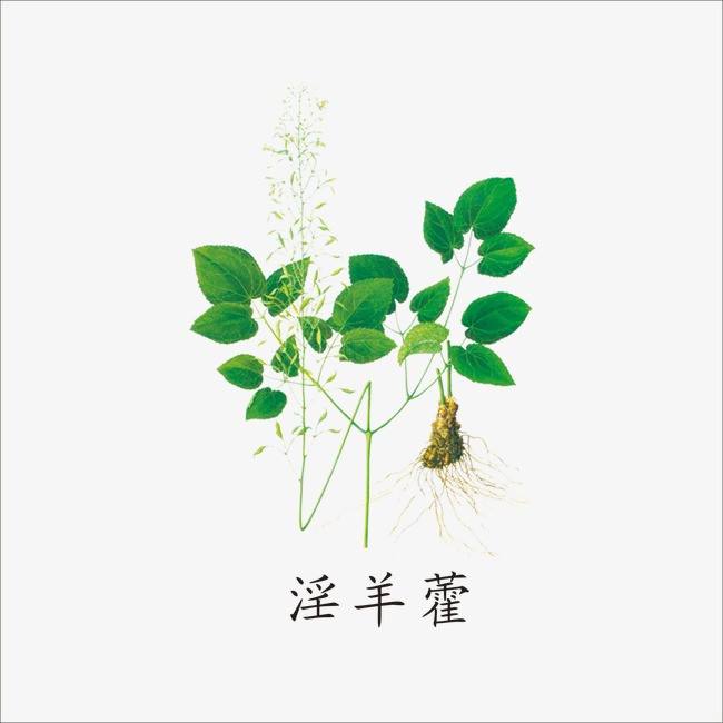 中药补肾,药葫芦里的灵丹