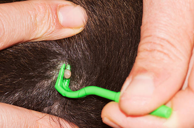 09d6347435474a5d8a351d7d210a95d6.jpg 09d6347435474a5d8a351d7d210a95d6.jpg