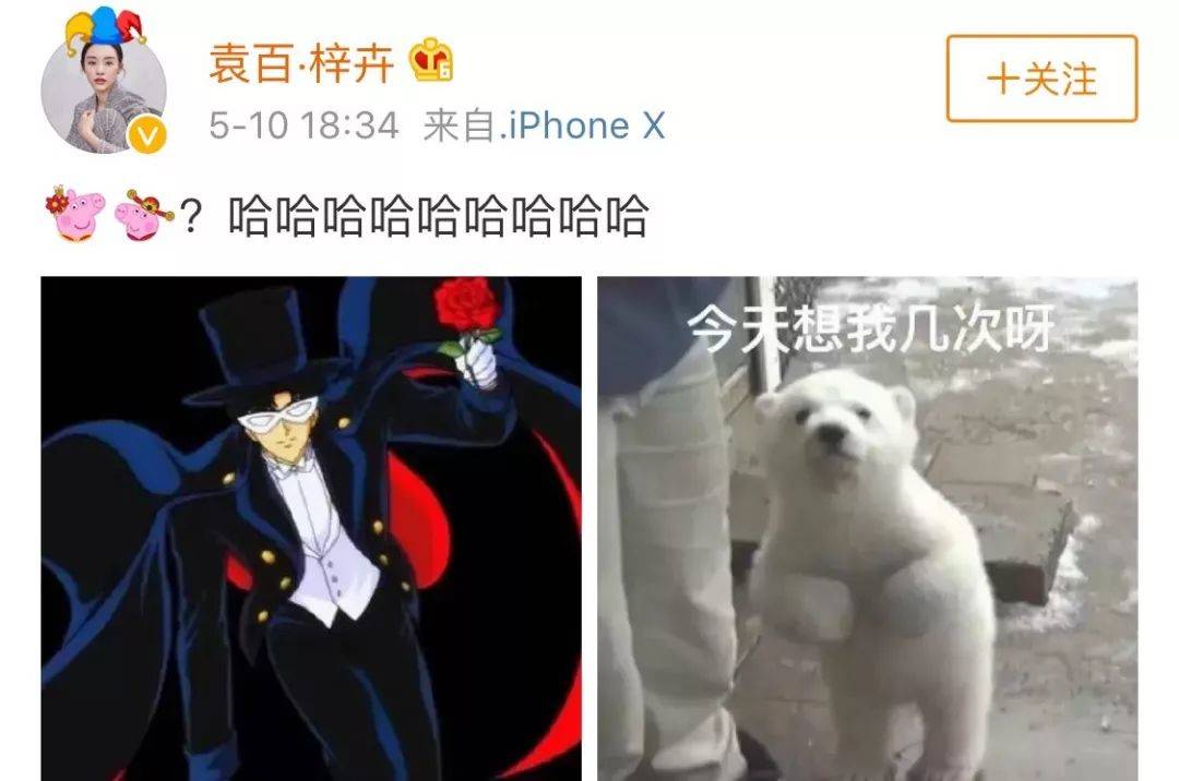 许晴徐静蕾杨幂杨紫,充满“飒”气的北京大妞还有她