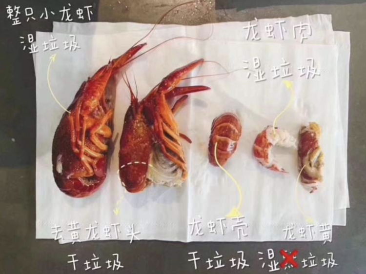 科普：扔垃圾为什么不能嫌麻烦