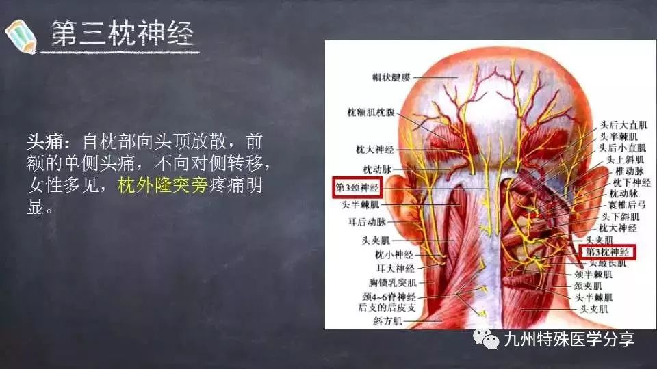 那导致枕大神经出现卡压有以下几个部位,第一个呢就是寰枢关节,枕神经