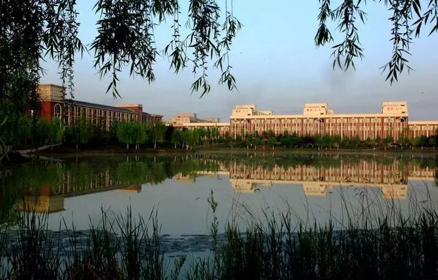 点赞!“网红”安阳魅力刷屏