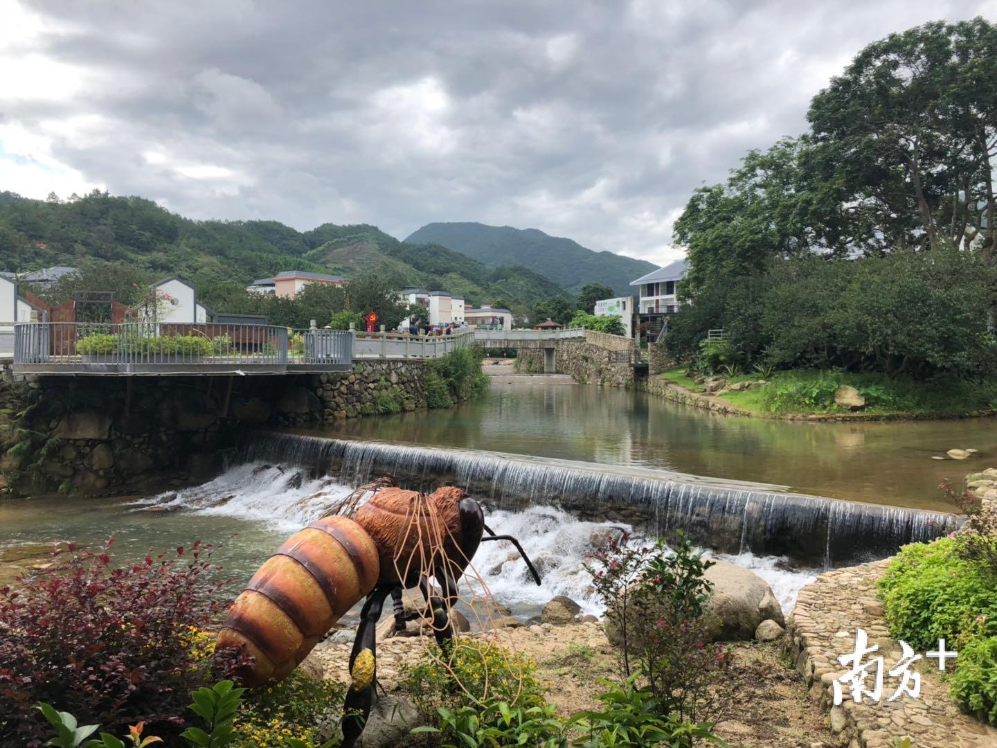 心动!汕尾陆河这个"网红村"四季皆美景,有你不知道的别样浪漫