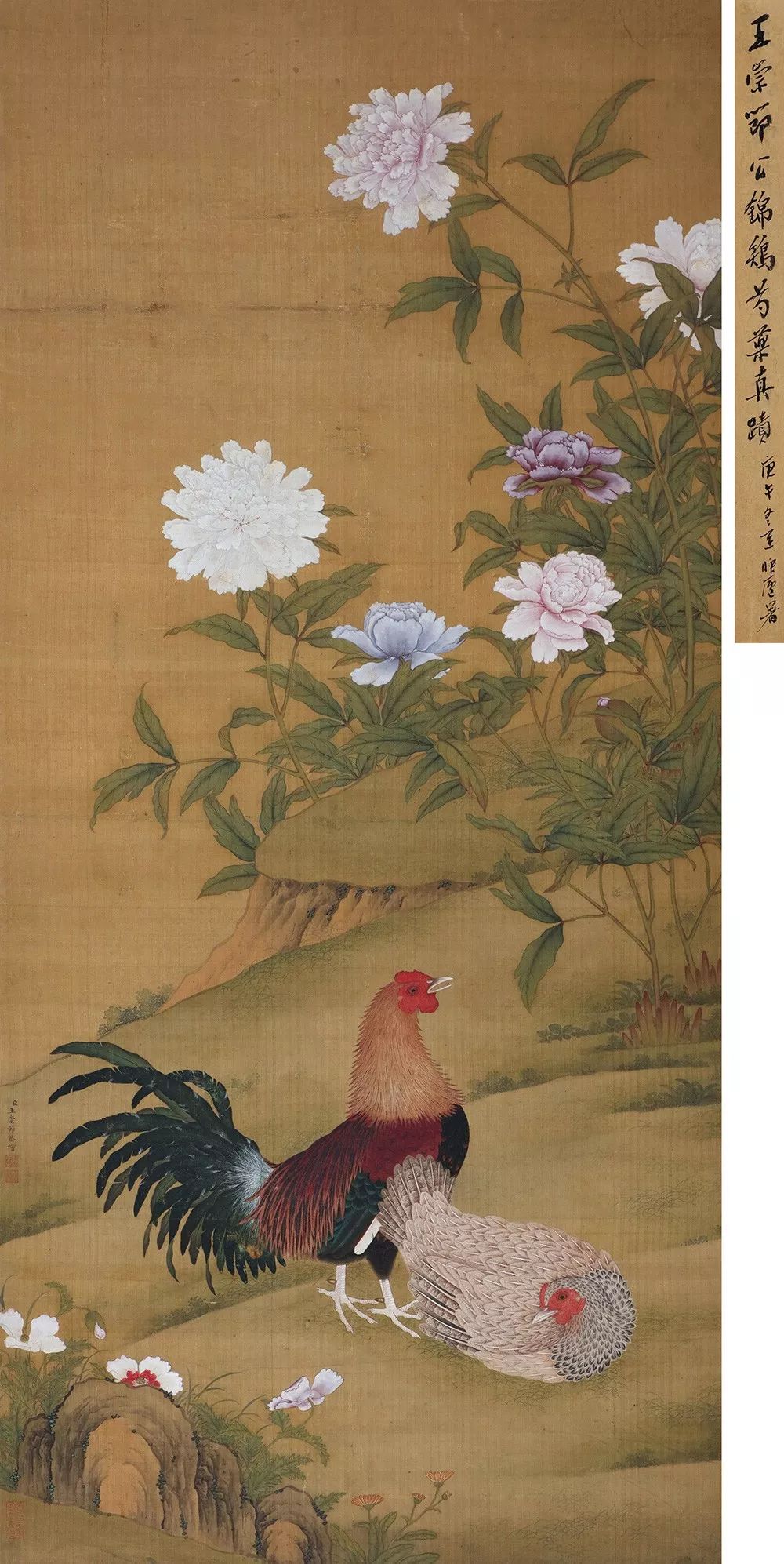 王崇节 锦鸡芍药