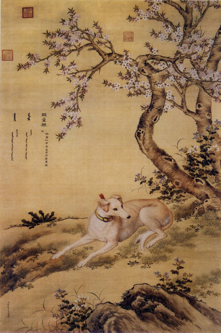 清 郎世宁 十骏犬图之“睒星狼” 台北故宫博物院藏
