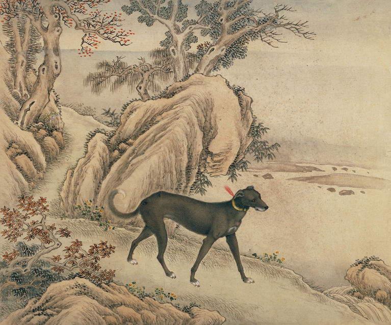 清 艾启蒙 十骏犬图册之「雪爪卢」 纸本设色 纵二四·五厘米 横二九·三厘米 故宫博物院藏