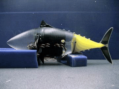 水下仿生机器人主要研究和发展趋势