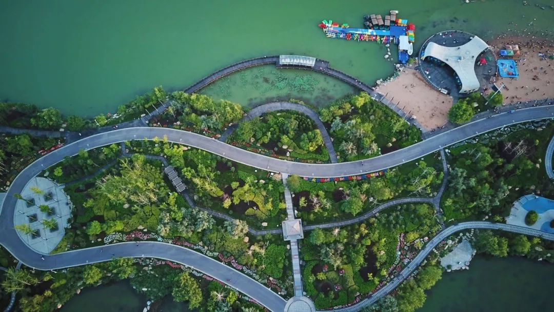 图片来源:新华社 (银川阅海公园)