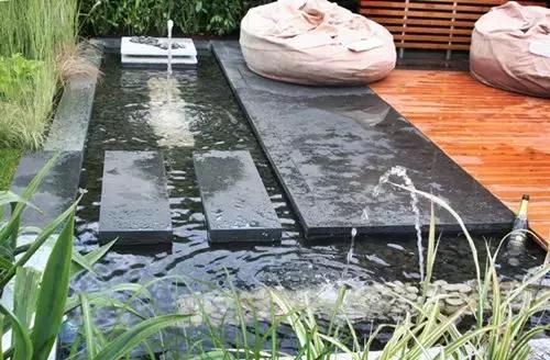 老外后院的池塘水景