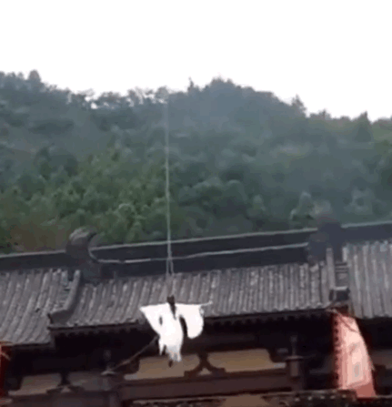 自体滑轨还会轻功,武功了得的罗云熙是神仙吗?