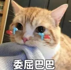 外卖小哥送餐后又被追回,后面发生的事有点暖… 玛雅视讯平台