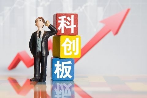 最新:上海科创板龙头股名单一览(建议收藏),后