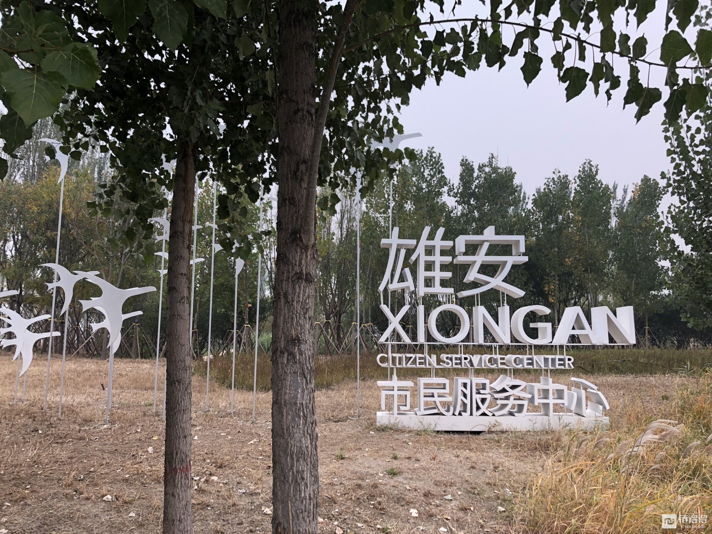 【链得得深度】雄安区块链考察：中小企业融资，供应链金融如何实现信用穿透？