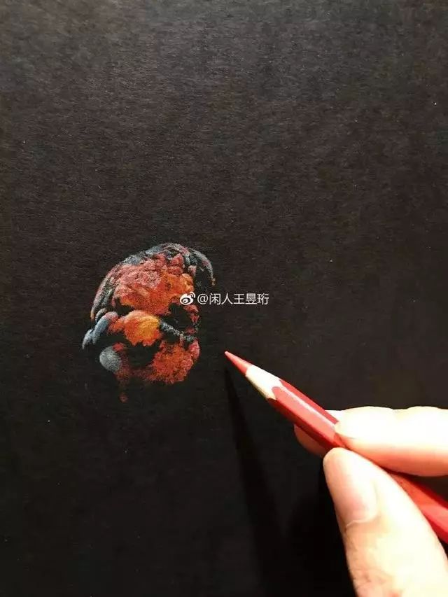 王昱珩:一个人怎么可以这么才华出众,简直是神一般的存在