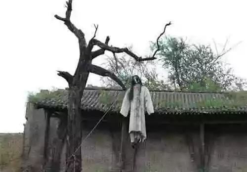 卓典有料||中国十大“怪”村，绝了!!!