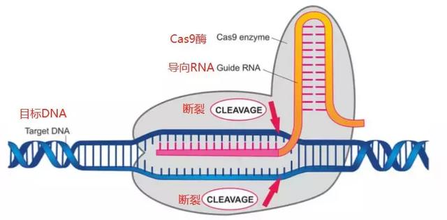 我们要抵制胡作非为的科学家