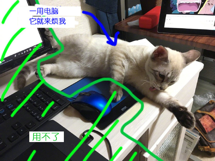 每日神段子丨穿这鞋子的应该都是不食人间烟火的仙女！