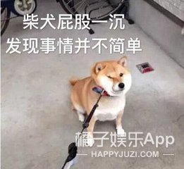 一个巴掌拍不响…明星为蒋劲夫陈情的时候能稍微看点儿书吗？