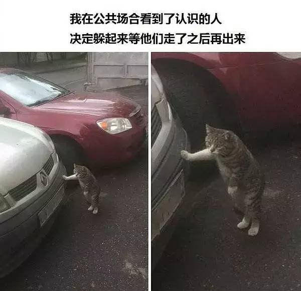 因为这个病，李宇春7年只发了2条微博…