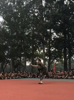搞笑gif:狗狗:铲屎的再来几个,我要做一只飞狗.