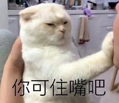 让沈月穿6万块一件的体雕衣？躺着就瘦20斤不是梦！