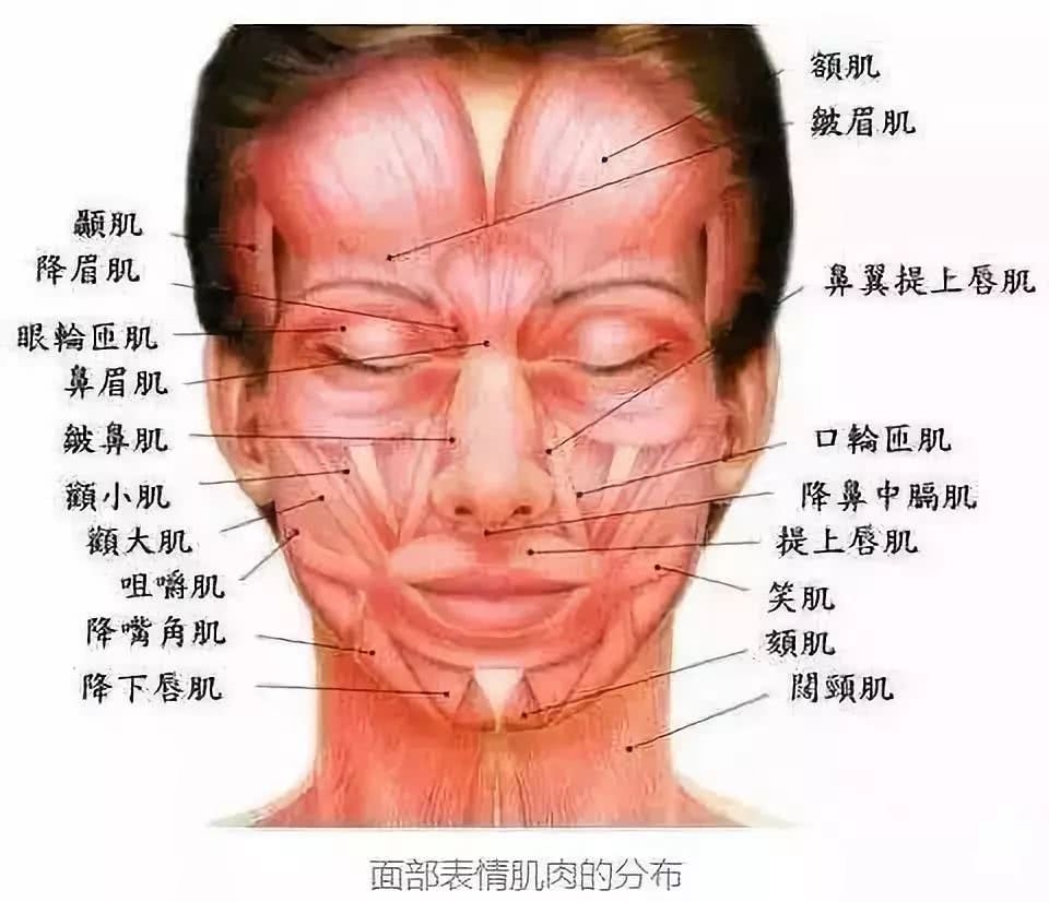被于正合影坑成网红脸的吴谨言，当天的脸视觉中国都挑不出错
