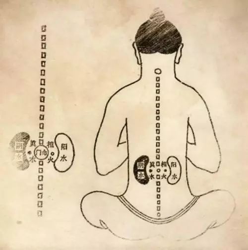 节气:大雪将至,吃白菜,饮茶水,强肾气,补阳气,平安过冬!