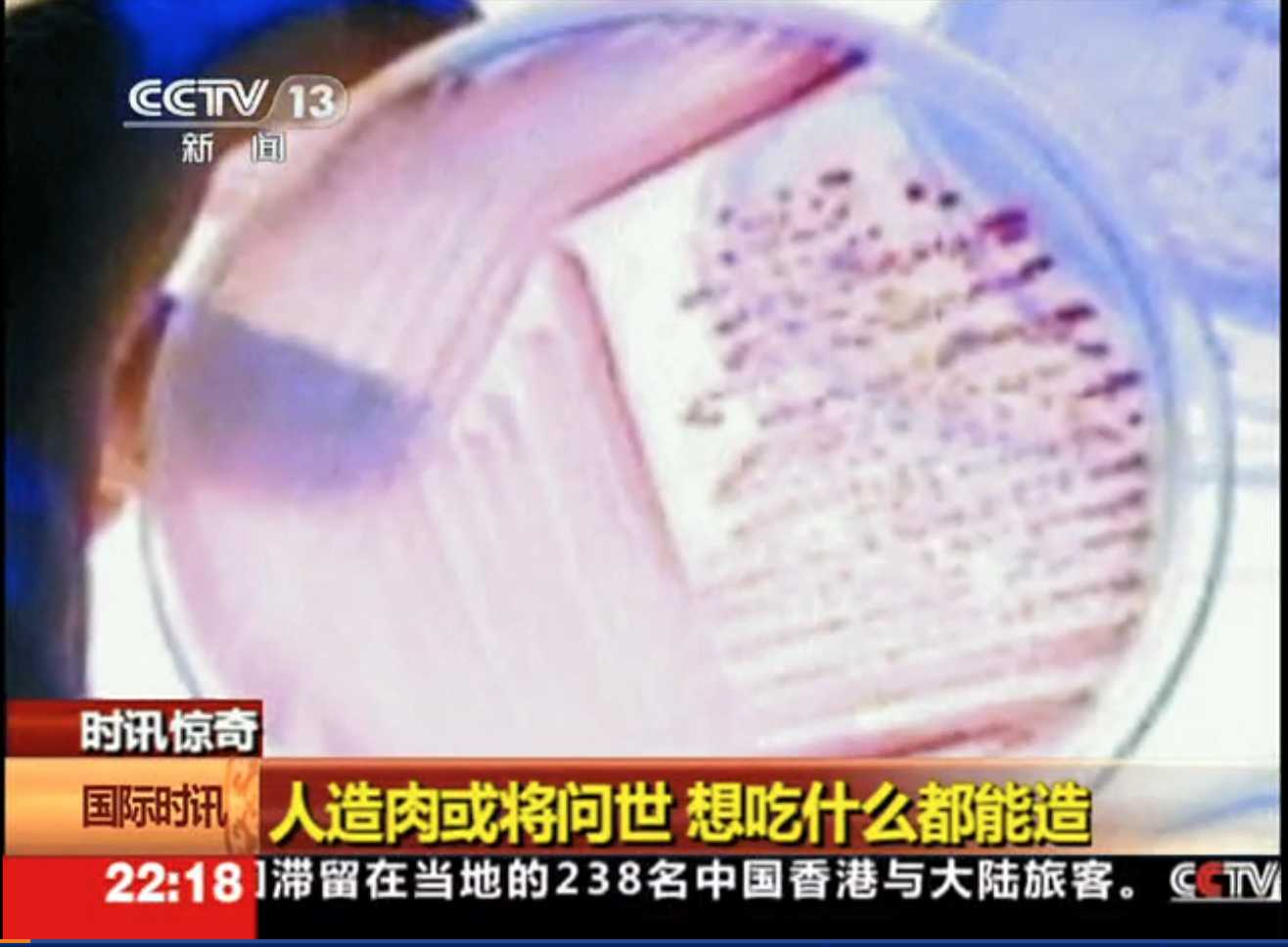 即将上餐桌的人造肉是什么“新物种”？5个疑惑一一揭开