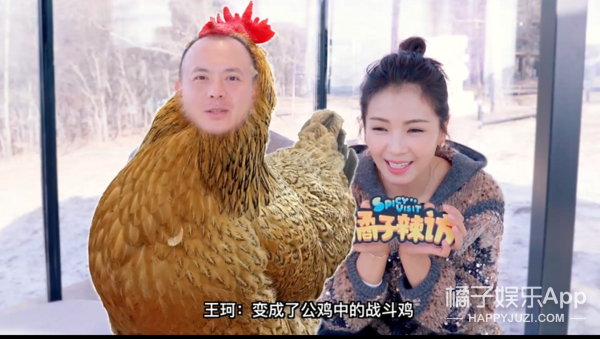 刘涛和王珂是真恩爱还是为了节目做戏呀？