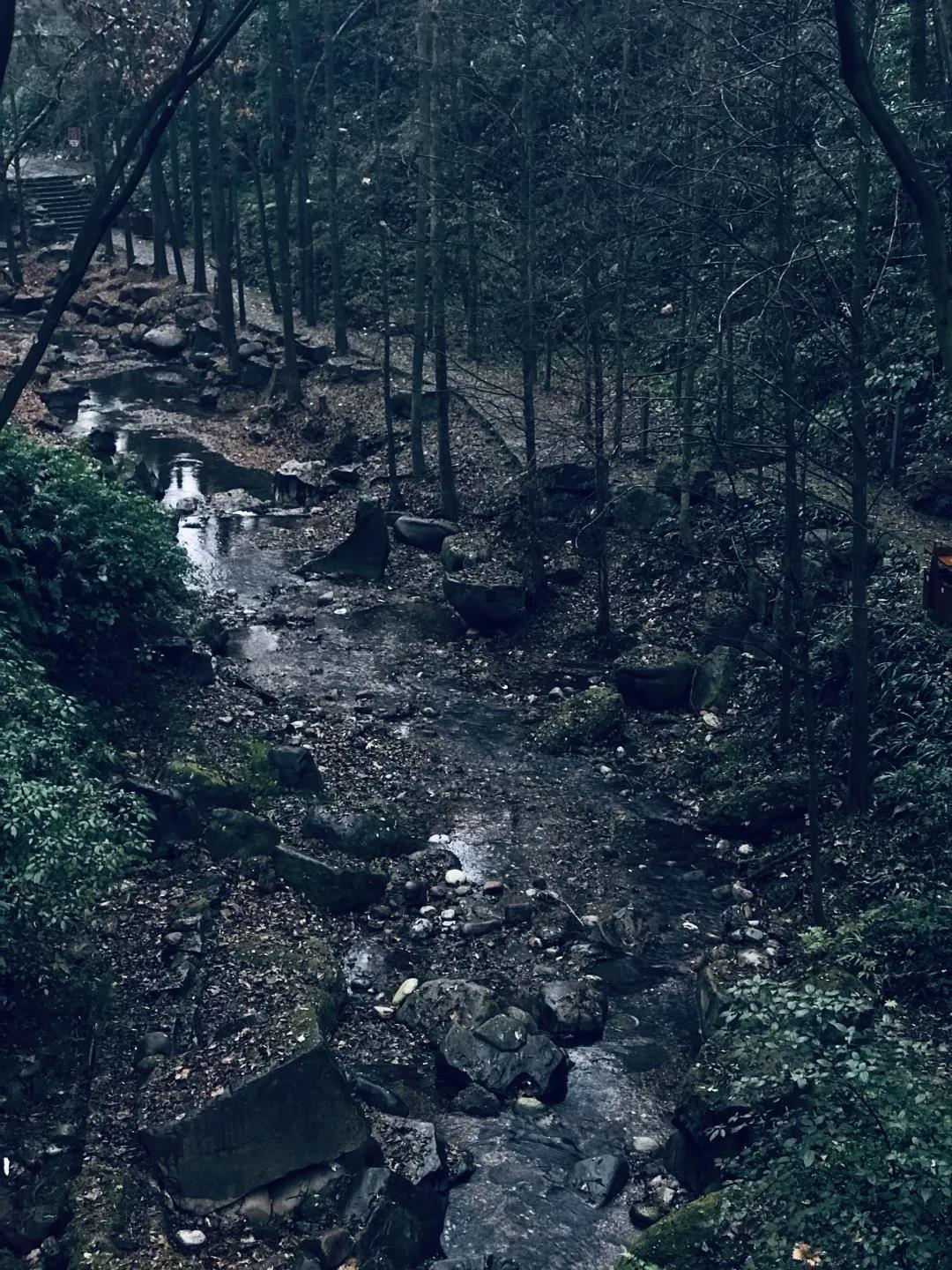 乱逛 如果下雪，我就想跑进青城山的迷雾