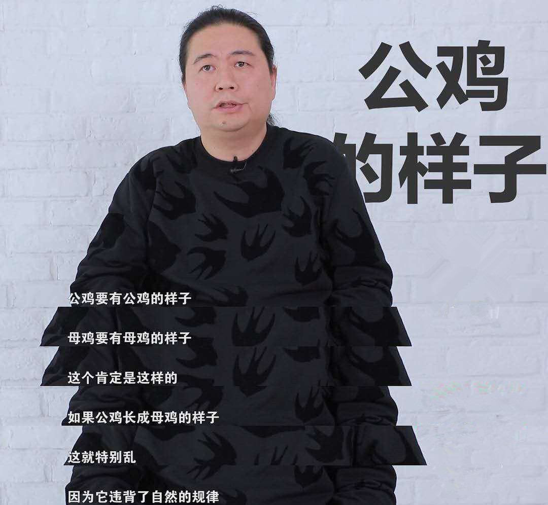 一起来看流星雨编剧炮轰鹿晗：“公鸡要有公鸡的样子！”