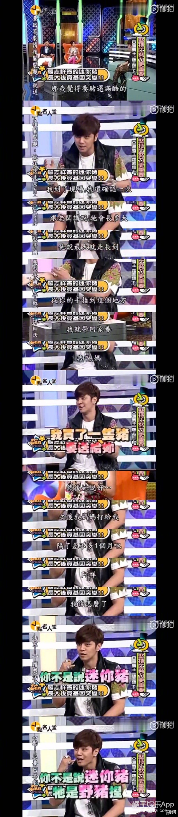 他家的猪可以盖章是猪圈顶流了吧？