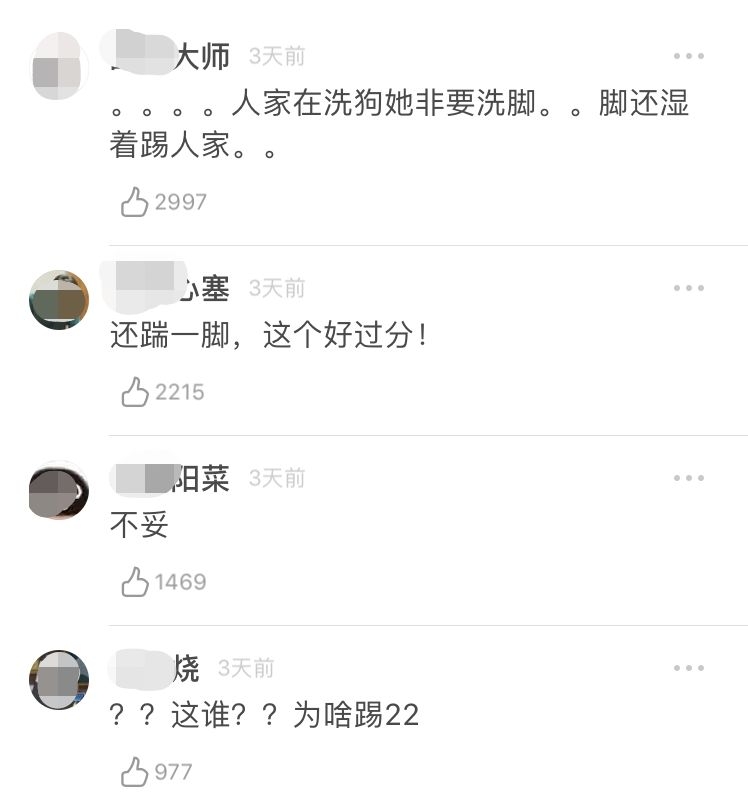 她想被封杀？忘了自己是中国人？还拉踩刘亦菲？