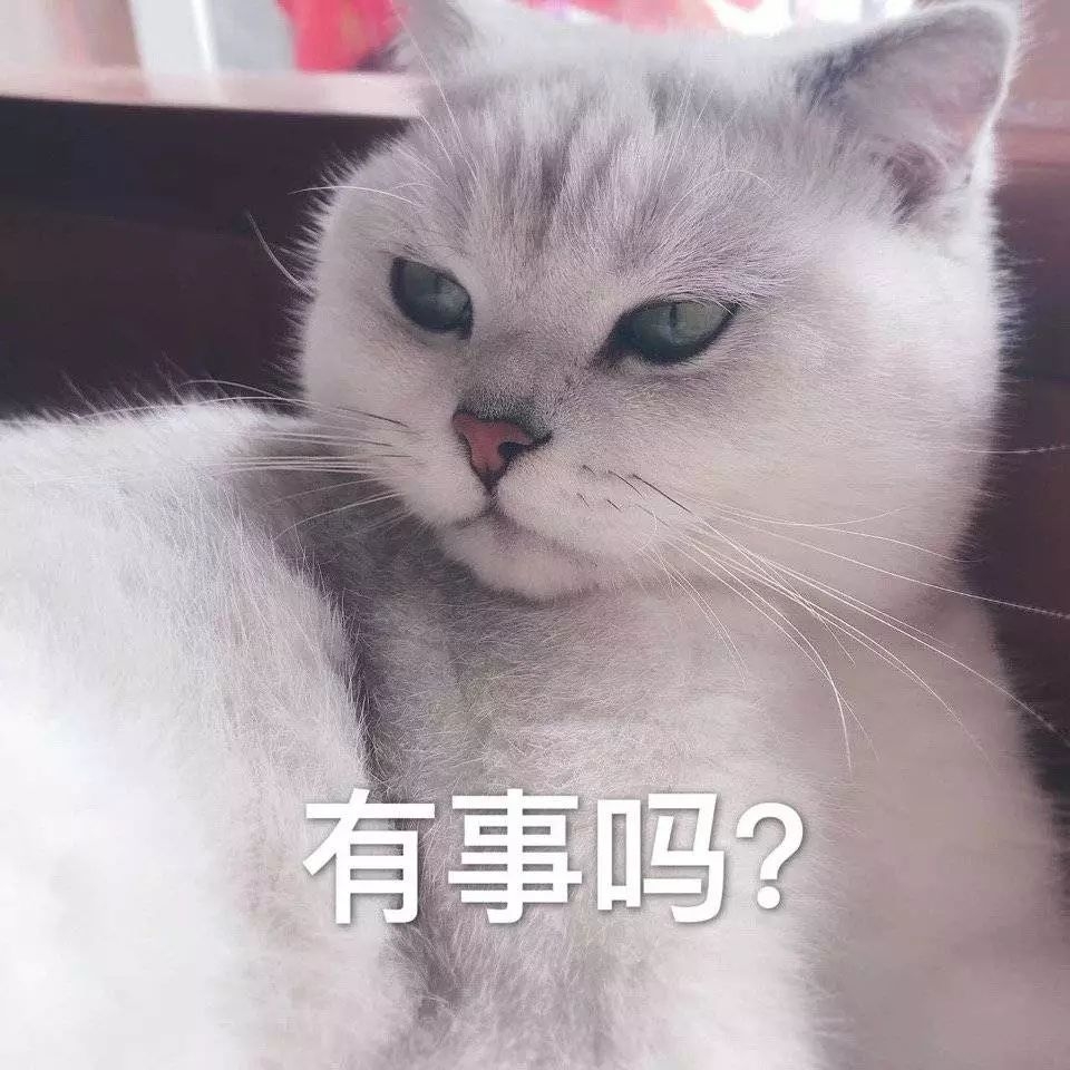 斗图表情包:开黑吗?我电竞少女