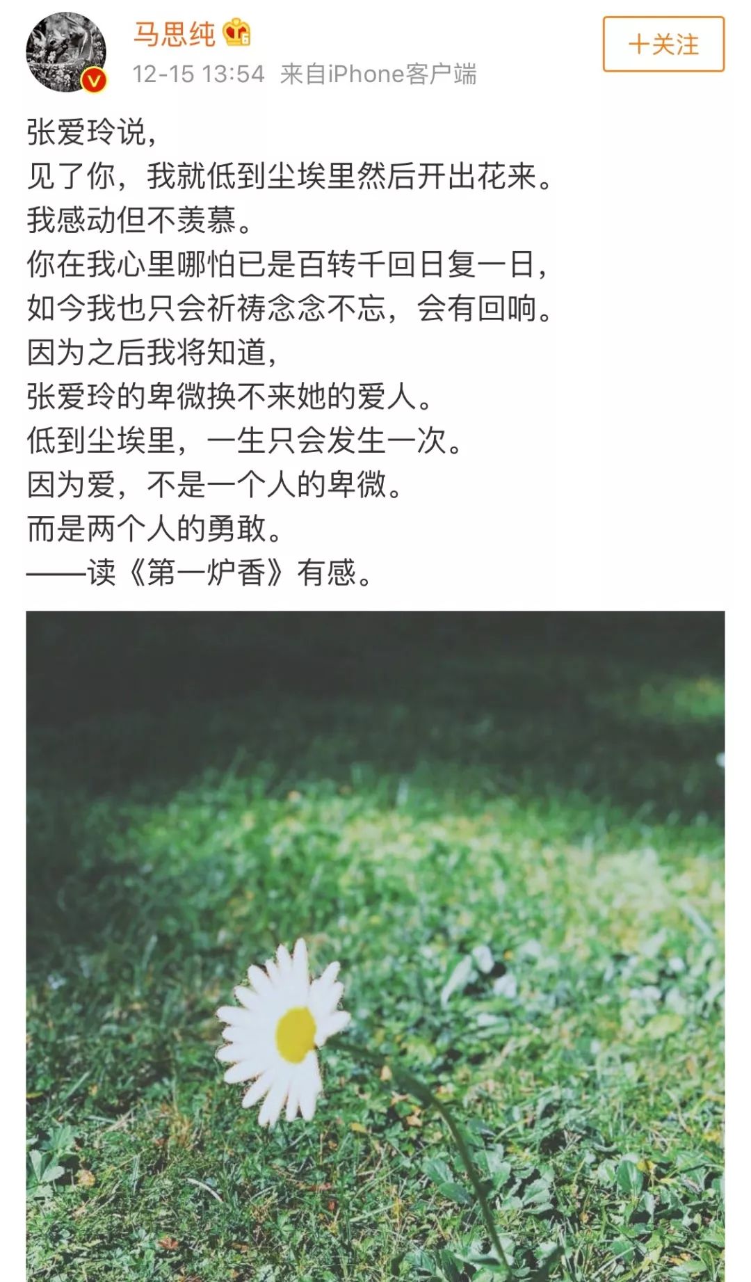 马思纯你别再装文青了