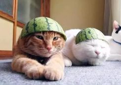 零下9度穿吊带裙的宋祖儿被夸碾压全场大小花，这妈妈桑发型认真的？