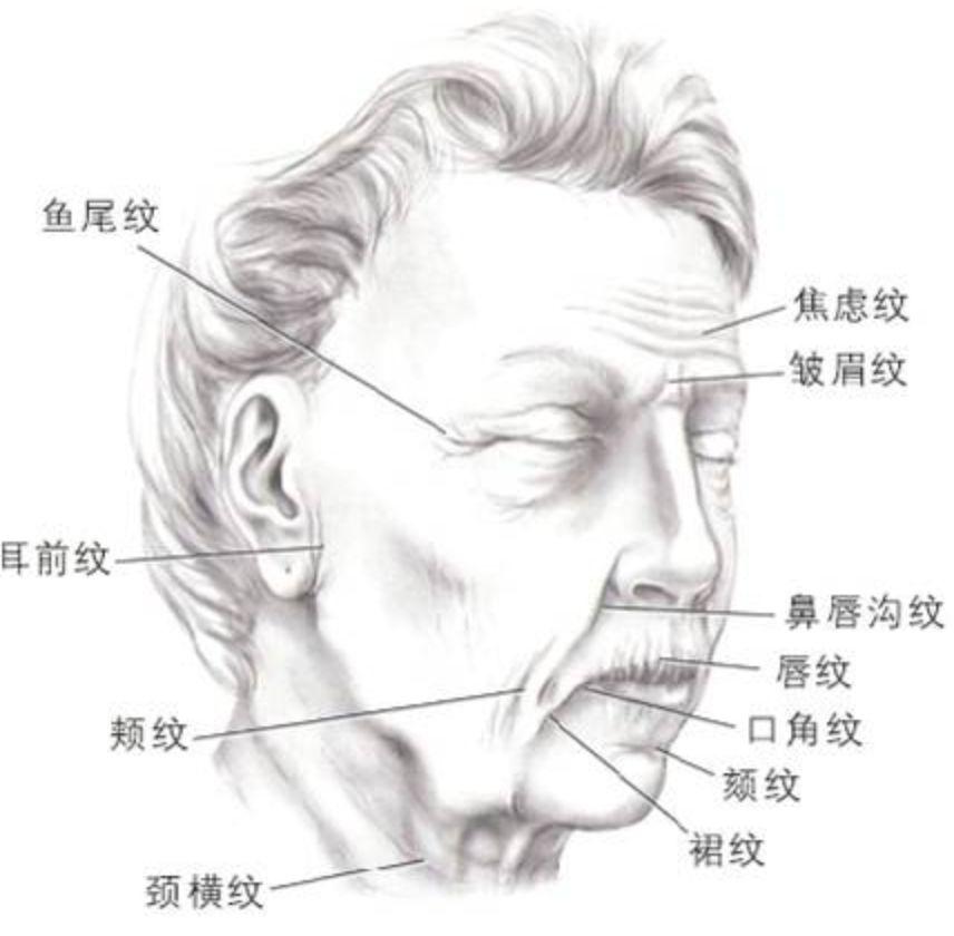 小S公开承认这些地方是整的！她是又喝多了吗？