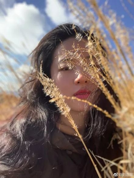 好久不见的刘亦菲晒素颜照了，她可能是娱乐圈老得最快的女明星…