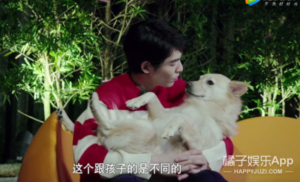 被他和流浪猫狗的故事感动了...