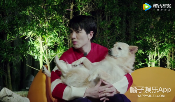 被他和流浪猫狗的故事感动了...