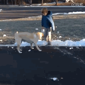 超级搞笑的冬季遛狗!
