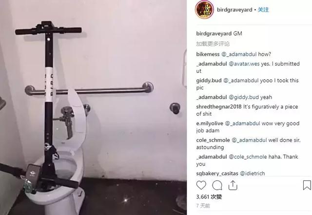 挂在电线杆上的共享单车，成了最疯狂的行为艺术