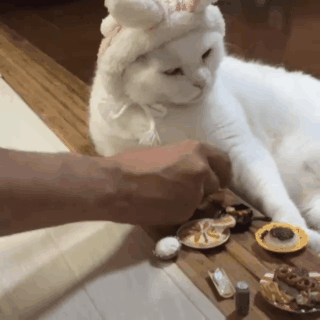 搞笑gif:真没看出来,妹子的刘海竟然是假的