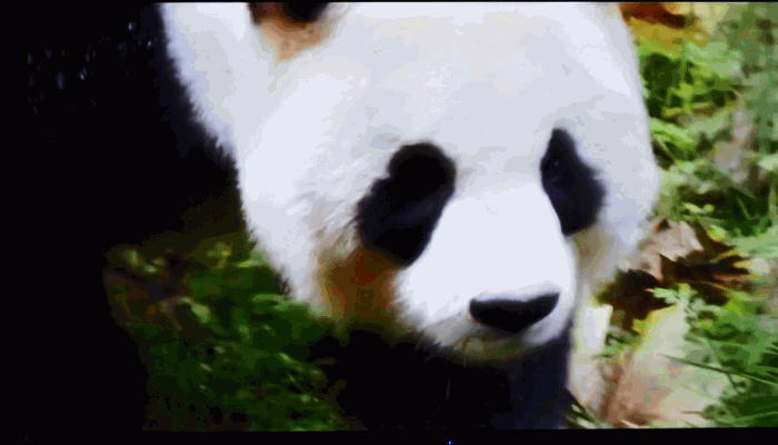 电视也能这样懂你 海信A65E全面AI电视评测