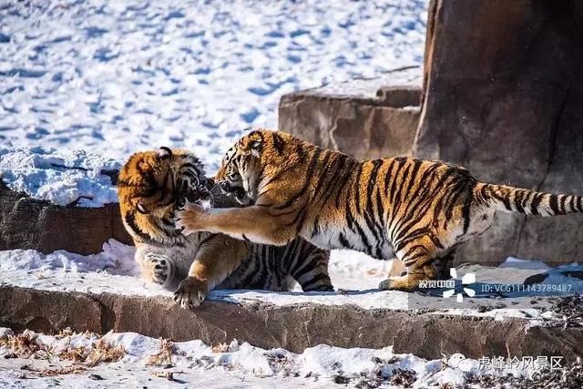 重磅!两小时高铁游带你玩遍哈尔滨至牡丹江周边景区!