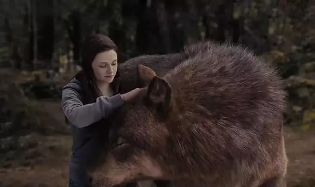 去掉了特效的电影镜头到底有多尴尬？